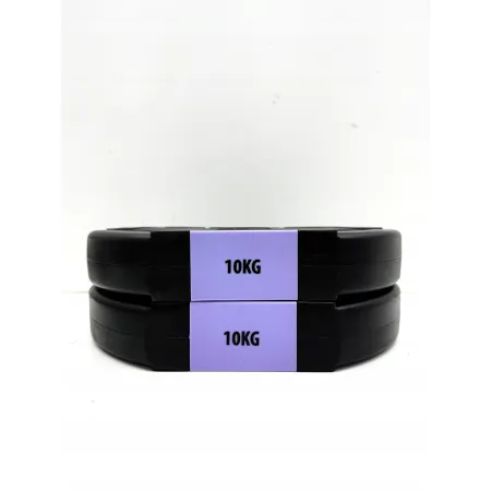 Sztangielka i ciężarki 40kg HMS SGSP60