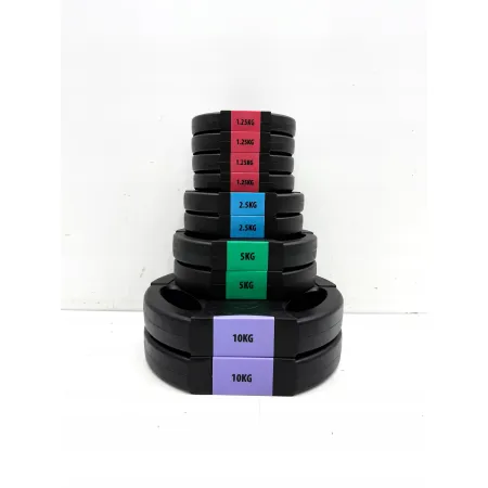 Sztangielka i ciężarki 40kg HMS SGSP60