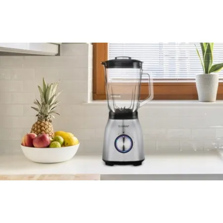 Blender kielichowy Zelmer ZSB4800 1000 W