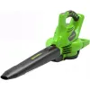 Dmuchawa akumulatorowa Greenworks GD24X2BV 2 kg
